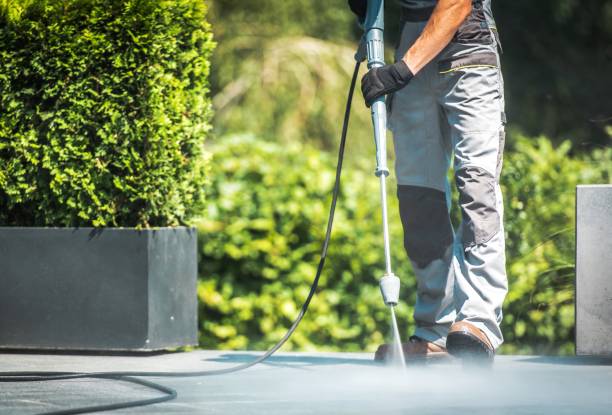 Best Fence Cleaning  in South Fulton, GA